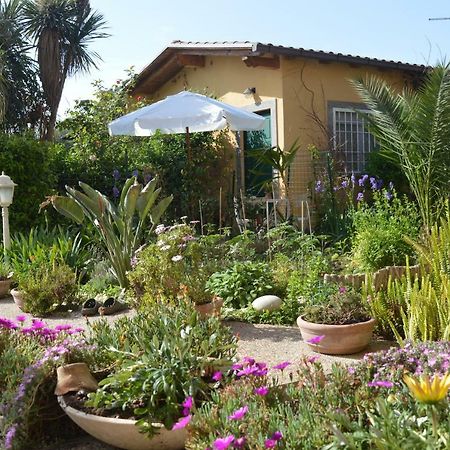 Le Cicale Villa Casal Palocco Buitenkant foto