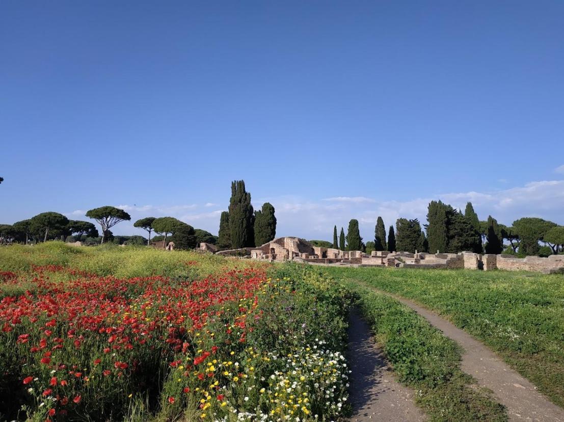 Le Cicale Villa Casal Palocco Buitenkant foto