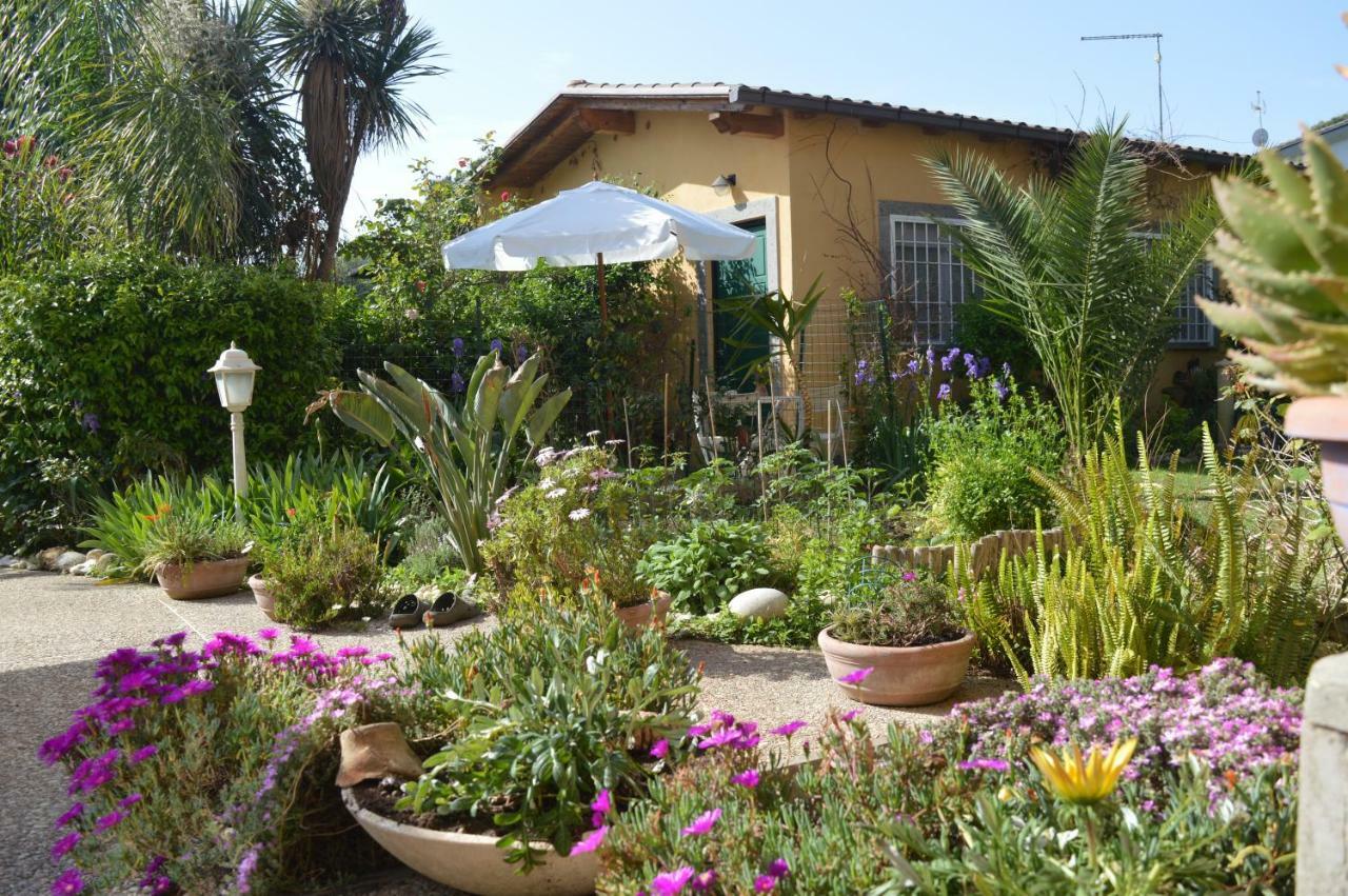 Le Cicale Villa Casal Palocco Buitenkant foto