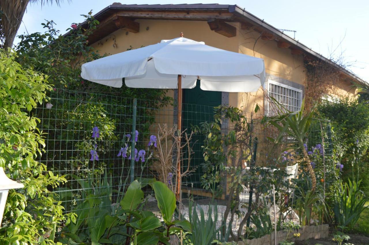 Le Cicale Villa Casal Palocco Buitenkant foto